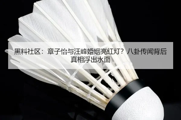 黑料社区：章子怡与汪峰婚姻亮红灯？八卦传闻背后真相浮出水面